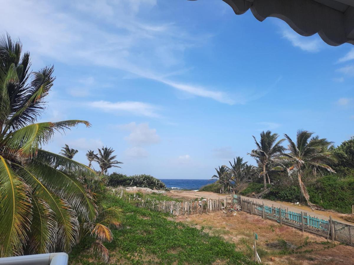 Vila Sur L'Anse Terre-De-Haut Exteriér fotografie