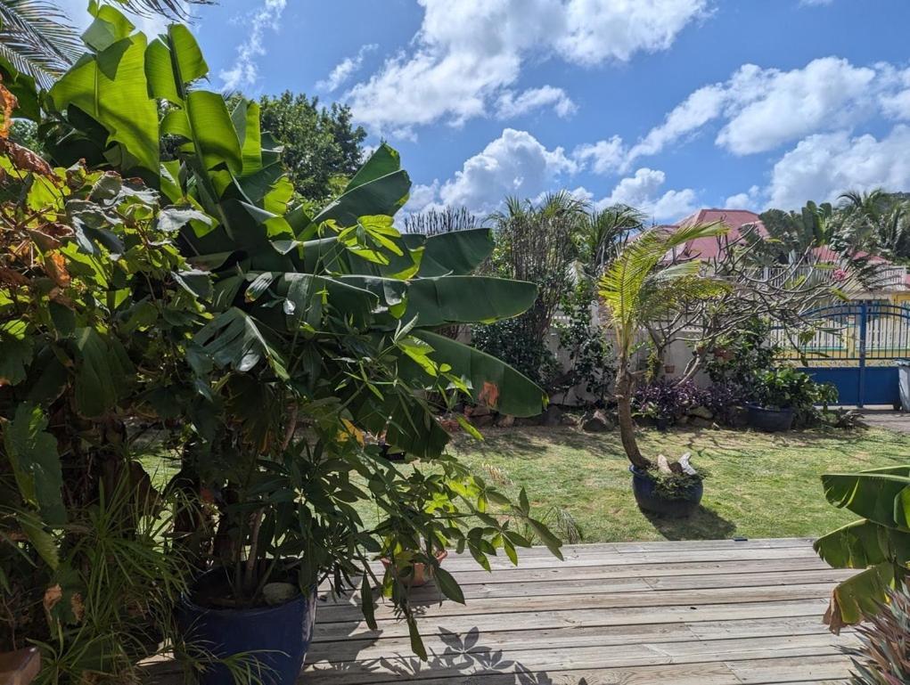 Vila Sur L'Anse Terre-De-Haut Pokoj fotografie